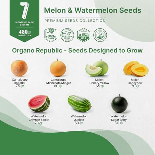Organo Republic 7 Melon & Watermelon Seeds Variety Pack 480+ Non-GMO Heirloom Fruit Seeds for Planting Fruits in Individual Seed Packets, Home Garden Seeds for Hydroponic, Indoor & Outdoors Gardening - Image 3