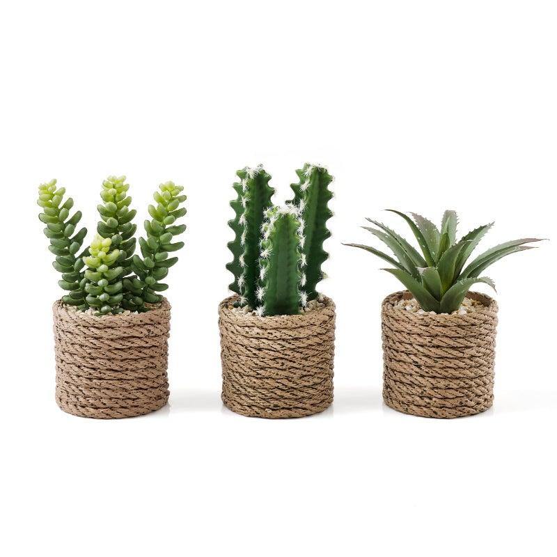 Fuxdre 3-Pack Artificial Succulent Plants in Vintage Plastic Pots - Fake Waterproof Succulents Decor for Home, Office, Desk, Shelf - Low Maintenance Indoor Greenery for Bathroom, Living Room, Table Decor - Image 1