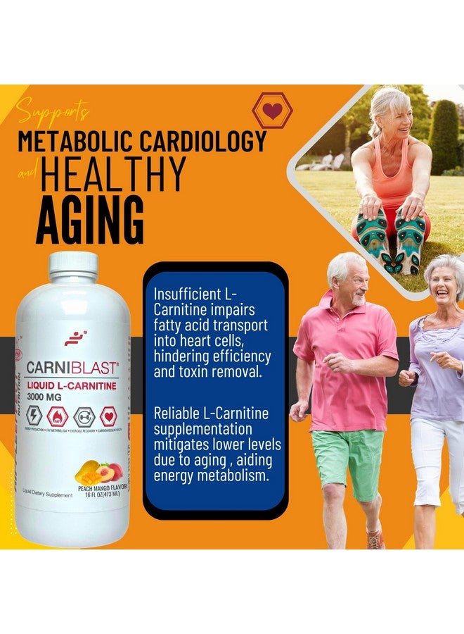 acetyl l carnitine hcl alpha lipoic acid para que sirve Bricker Labs CARNIBLAST Liquid L-Carnitine 3000mg plus GBB main image 1