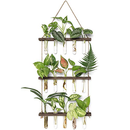 Mkono Plant Propagation Tubes, 3 Tiered Wall Hanging Terrarium with Wooden Stand Mini Test Tube Flower Vase Glass Planter Stations for Hydroponic Cutting Home Garden Office Decor Plant Lover Gift - Image 1