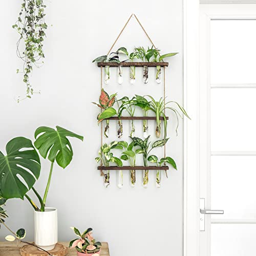 Mkono Plant Propagation Tubes, 3 Tiered Wall Hanging Terrarium with Wooden Stand Mini Test Tube Flower Vase Glass Planter Stations for Hydroponic Cutting Home Garden Office Decor Plant Lover Gift - Image 5