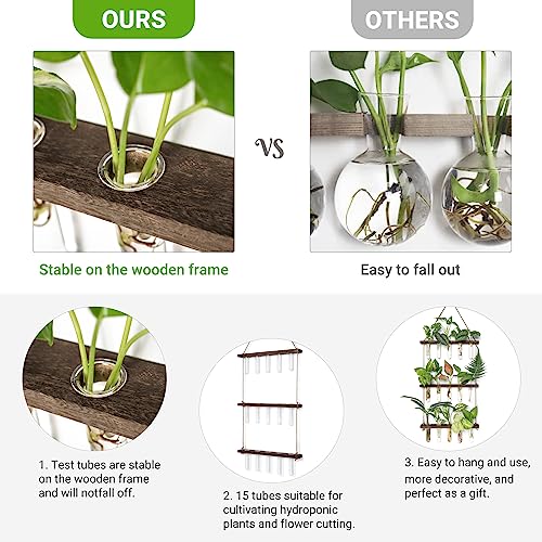 Mkono Plant Propagation Tubes, 3 Tiered Wall Hanging Terrarium with Wooden Stand Mini Test Tube Flower Vase Glass Planter Stations for Hydroponic Cutting Home Garden Office Decor Plant Lover Gift - Image 4