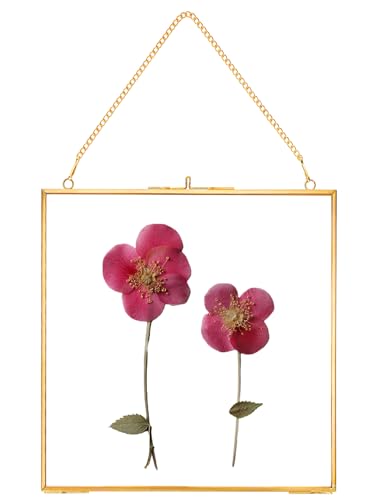 REDHUGO Glass Pressed Flower FramesVintage Hanging Picture Frames with ChainHandmade Brass Floating Picture FramePlant Specimen Wall Ornament Display Artwork DIY Family PhotoSquareGold8x8 Inches