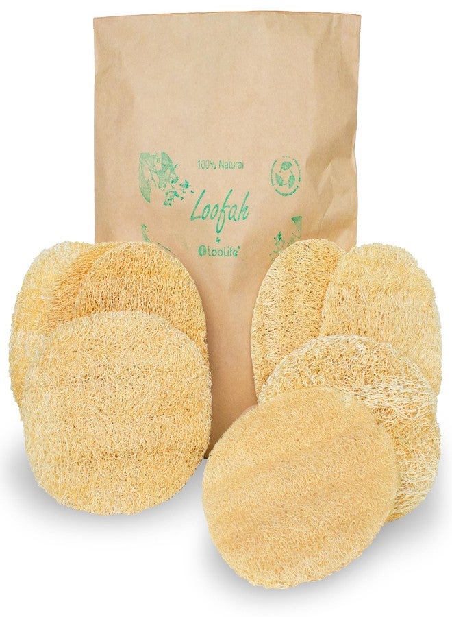 LooLife Natural Loofah Exfoliating Body Scrubber (8 Pack) - Organic Loofah for Body - Biodegradable Shower Luffa - Natural Bath Sponges Loufa - Estropajos para el Cuerpo - Image 1