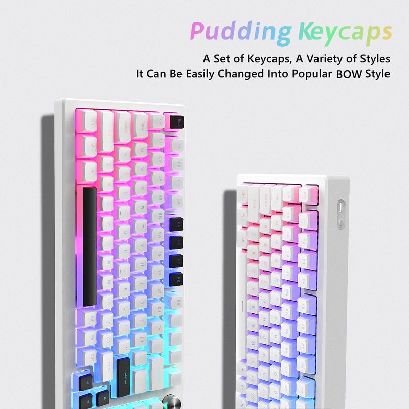 Womier Pudding Keycaps, PBT Shine Through Keycaps 165 Keys Set Custom Key caps Set OEM Profile, Universal Compatiability for 100%, 75%, 65%, 60% Keyboard-White - Image 4