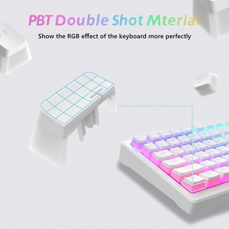 Womier Pudding Keycaps, PBT Shine Through Keycaps 165 Keys Set Custom Key caps Set OEM Profile, Universal Compatiability for 100%, 75%, 65%, 60% Keyboard-White - Image 5