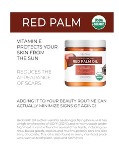 velona velona USDA Certified Organic Red Palm Oil 16 Fl Oz | Food and Cosmetic Grade | in jar | Extra Virgin, Cold Pressed | Skin, Face, Body, Hair Care | Use Today - Enjoy Results 