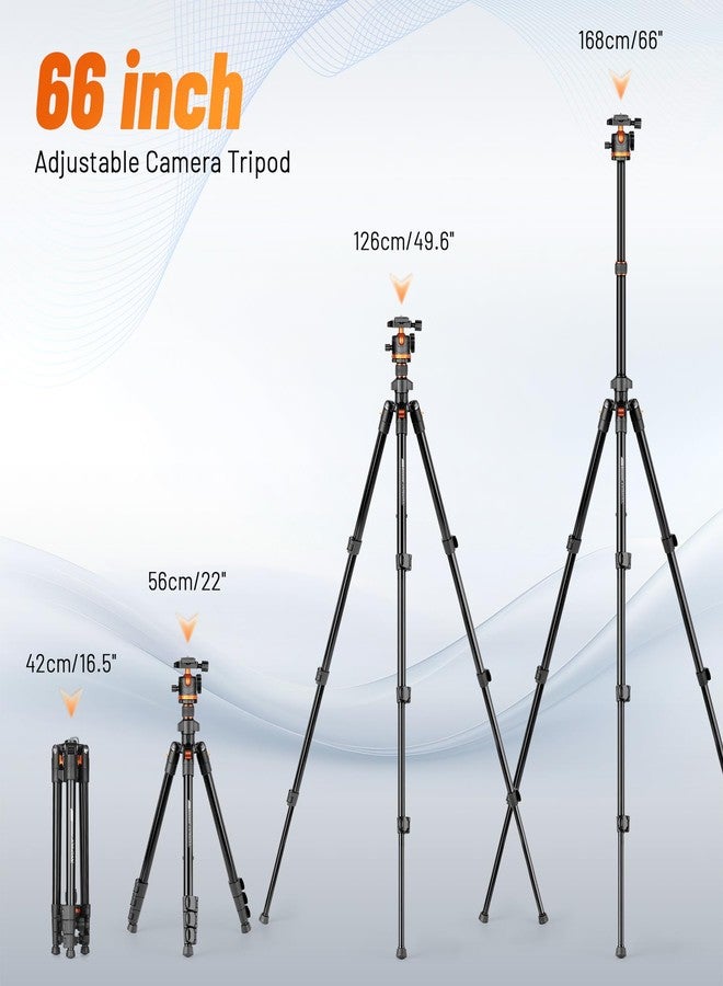 JOILCAN 66" Camera Tripod, Travel Tripod for Camera with 360° Ball Head & Phone Holder, Lightweight Compact Tripod for DSLR/Smartphone Photography, Max Load 22lbs - Image 5