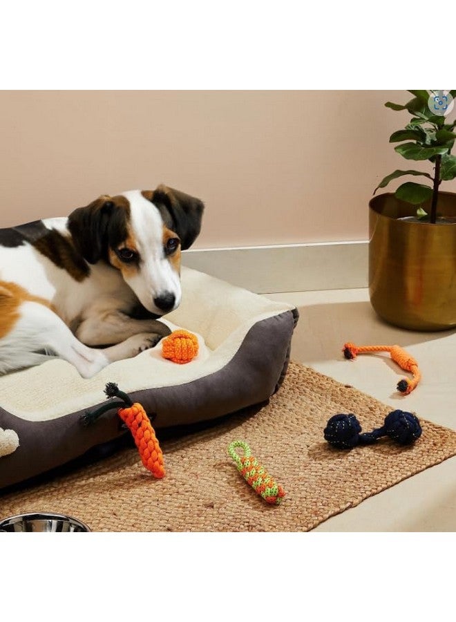 بت لعبة حبل للكلاب - مجموعة من 5 قطع من ألعاب الحبل المتينة للكلاب الصغيرة والمتوسطة والكبيرة - ألعاب مضغ للكلاب - حبل قطني طبيعي للتحفيز، أفضل الألعاب، عبوة من 5 قطع - Image 4