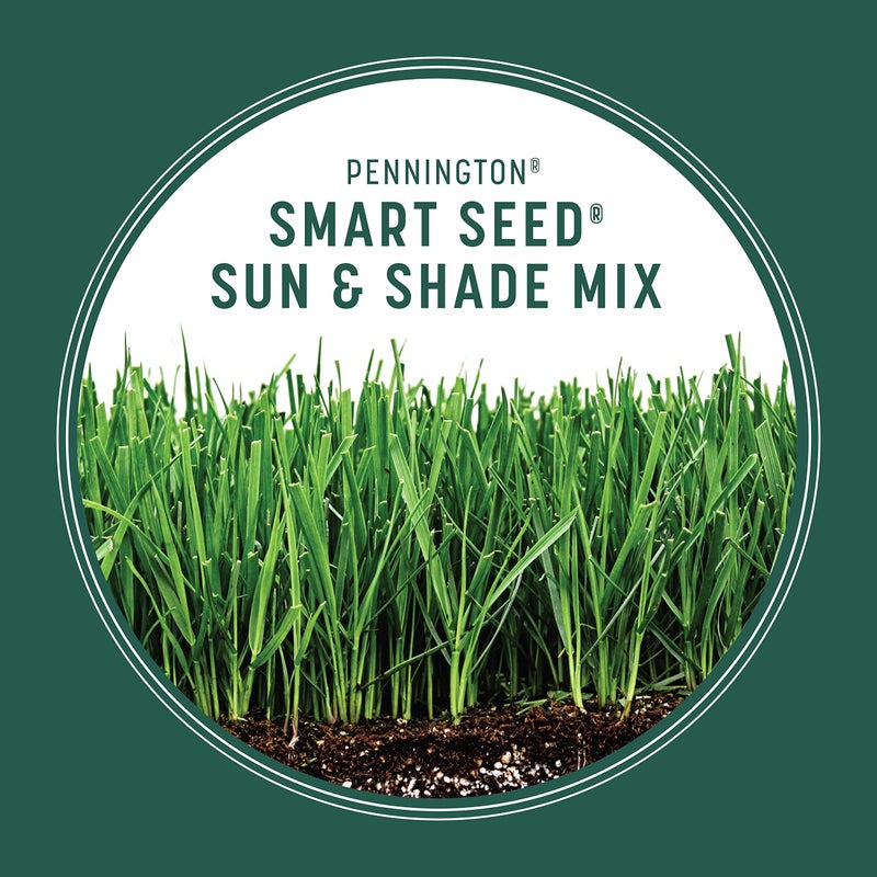 Pennington 100543719 Smart Seed Sun and Shade Grass Mix 7 lb, Black Label - Image 5