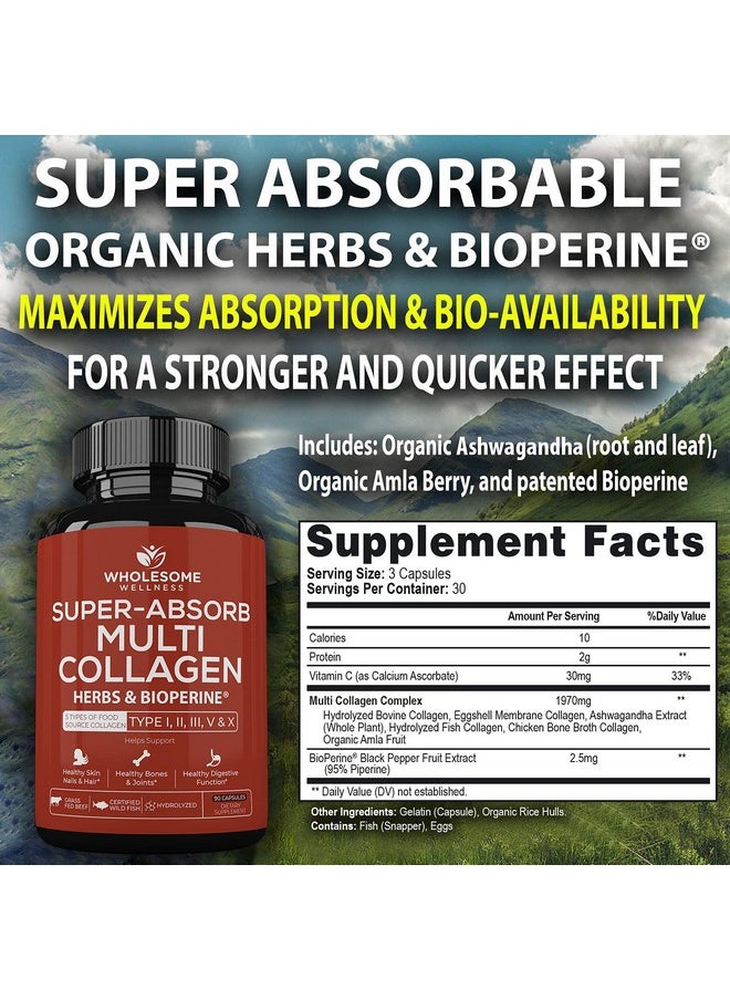 Wholesome Wellness - Superabsorb Multi Collagen Pills (Type I Ii Iii V X) Organic Herbs And Bioperine Hair Skin Nails Joints Hydrolyzed Collagen Peptides Protein Supplement For Women Men (90 Capsules) - Image 1