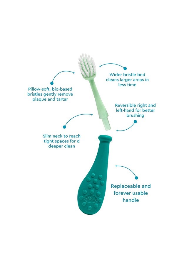 راديوس فرشاة أسنان برأس قابل للاستبدال من بيج كيدز فوريفر براش للأطفال من سن 6 سنوات فما فوق، خالية من مادة بيسفينول أ ومسموح بها من قبل إدارة الغذاء والدواء الأمريكية للأسنان واللثة النامية - لليد اليمنى واليسرى، ناعمة للغاية - عبوة من قطعة واحدة - Image 3
