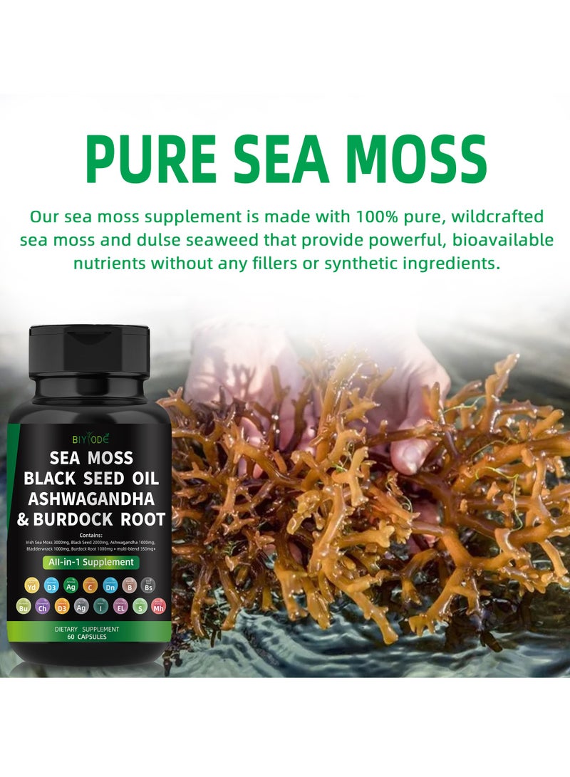BIYODE Organic Sea Moss Capsules - Burdock Root, Irish Moss and Bladderwrack Capsules for Immune System, Gut, Skin & Energy - 60 Irish SeaMoss Pills with Raw Sea Moss Powder - Image 3