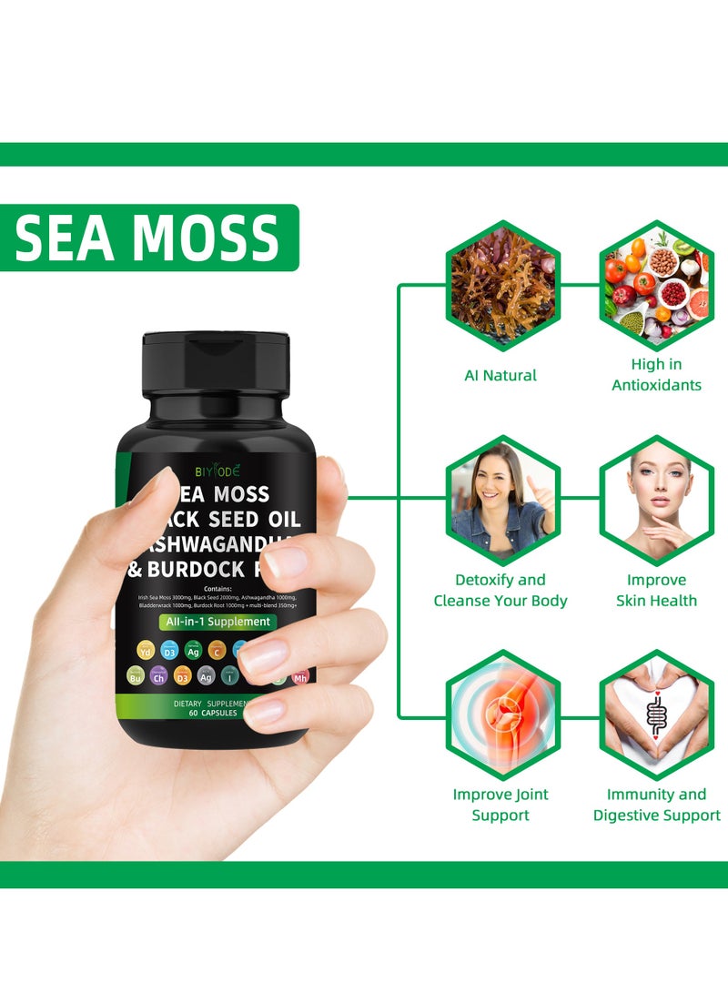 BIYODE Organic Sea Moss Capsules - Burdock Root, Irish Moss and Bladderwrack Capsules for Immune System, Gut, Skin & Energy - 60 Irish SeaMoss Pills with Raw Sea Moss Powder - Image 5