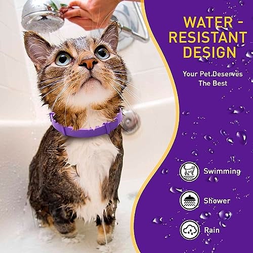 PetAtlas 4 Pack Calming Collar for Cats – Pheromone Cat Calming Collar Cat Anxiety Relief and Stress – Adjustable Water Resistant Breakaway Calming Collars Natural Ingredients Pheromones Rapid Effect - Image 5