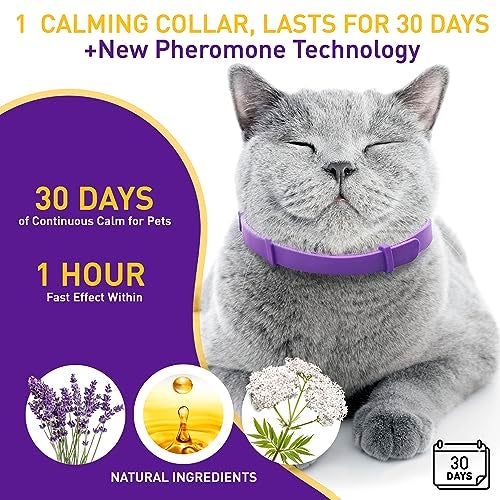PetAtlas 4 Pack Calming Collar for Cats – Pheromone Cat Calming Collar Cat Anxiety Relief and Stress – Adjustable Water Resistant Breakaway Calming Collars Natural Ingredients Pheromones Rapid Effect - Image 4