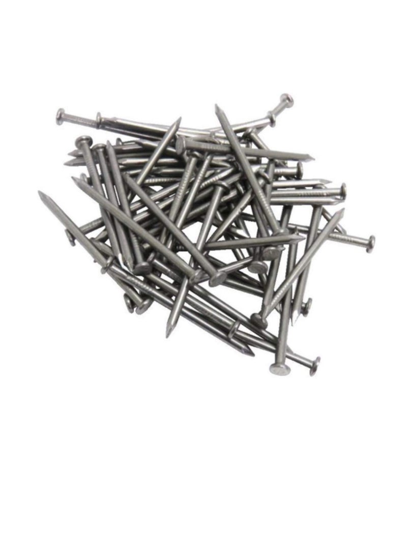 High Strength Round Head Nails For Carpentry Hardware Electrical Etc (50, 4 inch) - Image 1