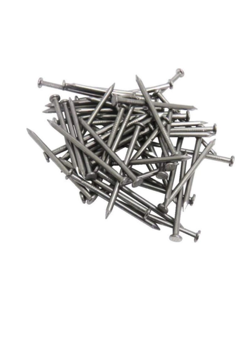 High Strength Round Head Nails For Carpentry Hardware Electrical Etc (50, 4 inch) - Image 2