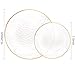Rubtlamp 60Pcs Clear Plastic PlatesClear Disposable Plates With Gold RimHeavyduty Gold PlatesHammered Party Plates Include 30Clear DessertPlatos30DinnerPlatos for Wedding Party - Image 4