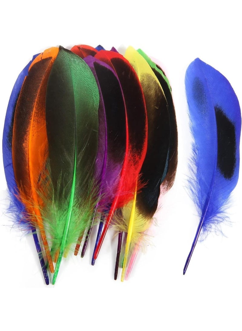 150pcs ريش البط 4-6 بوصة 10-15cm السائبة للحرف اليدوية الملابس قبعات ديكور حفل الزفاف المنزل ريش,ريش طبيعي, ألوان مختلطة - Image 1