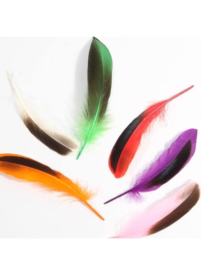 150pcs ريش البط 4-6 بوصة 10-15cm السائبة للحرف اليدوية الملابس قبعات ديكور حفل الزفاف المنزل ريش,ريش طبيعي, ألوان مختلطة - Image 5