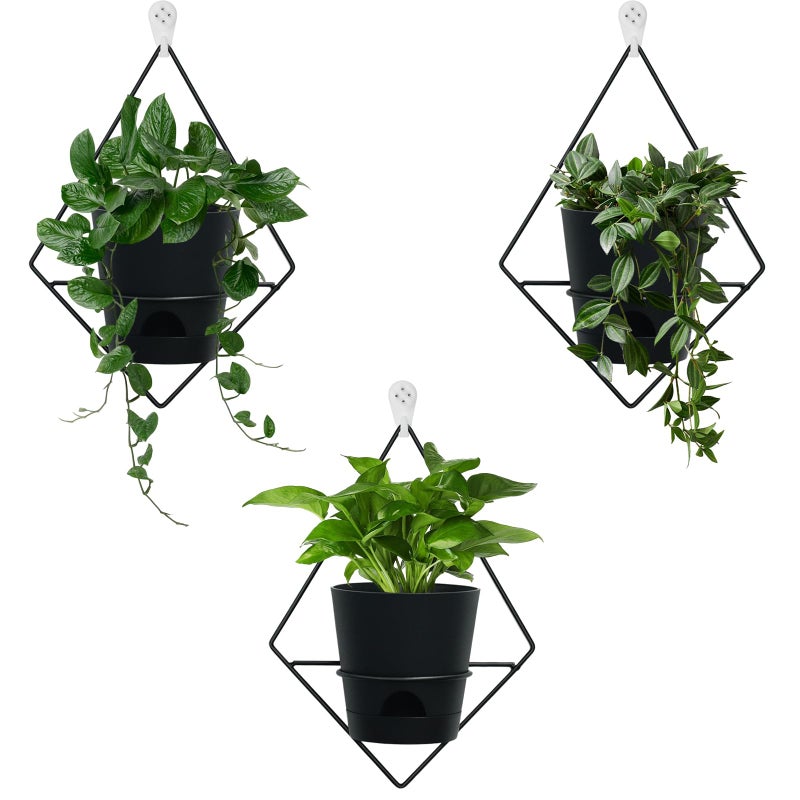 Koalaime 3 Sets Wall Planters for Indoor Plants Geometric Hanging Planters for Indoor Plants  SelfWatering Flower Pots with Black Metal Holder Mounted Succulent Planter 5 Black Plant Pot