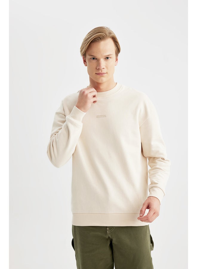DeFacto Man Boxy Fit Crew Neck Long Sleeve Knitted Sweat Shirt  - Image 5