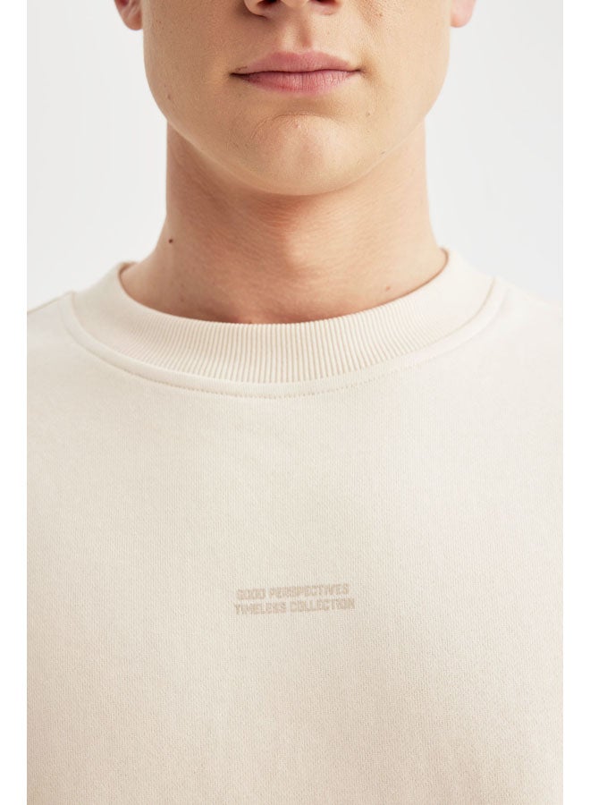 DeFacto Man Boxy Fit Crew Neck Long Sleeve Knitted Sweat Shirt  - Image 3