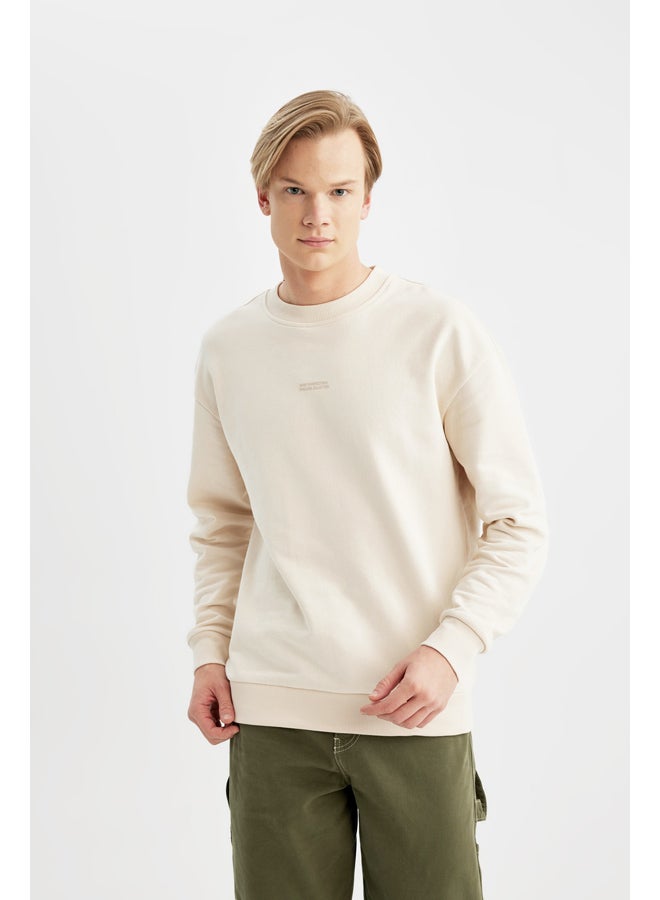 DeFacto Man Boxy Fit Crew Neck Long Sleeve Knitted Sweat Shirt  - Image 2