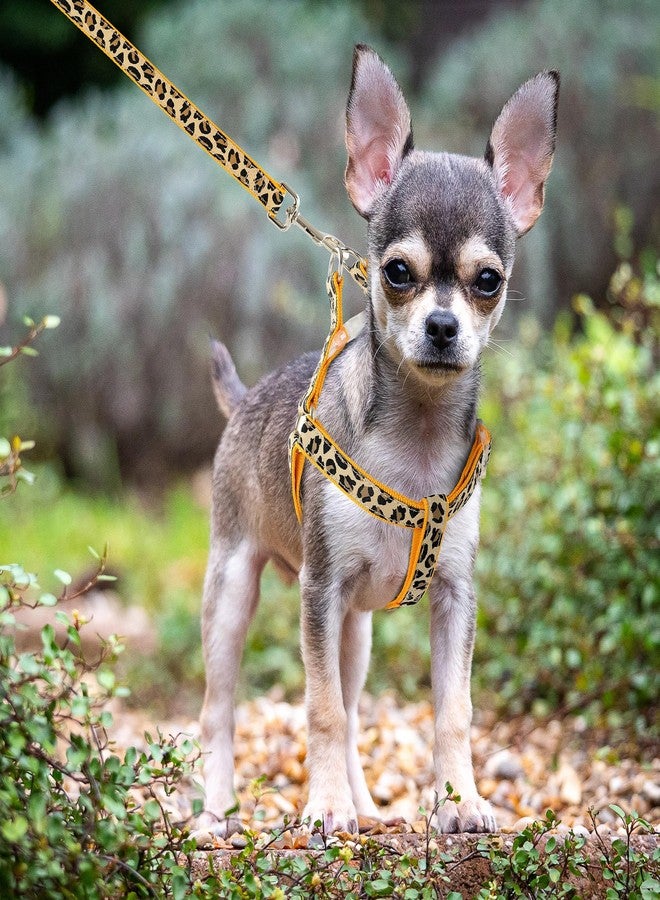 مايل هاي لايف طقم طوق ومقود للكلاب من مايل هاي لايف بنقشة جلد النمر، طوق ومقود قابل للتعديل للكلاب الصغيرة، سهل التحكم أثناء التدريب والمشي (أصفر، مقاس XS، محيط الصدر 9-15 بوصة، محيط الرقبة 8-12 بوصة). - Image 3