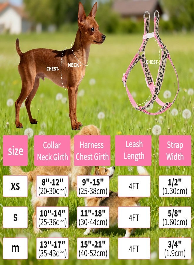 مايل هاي لايف طقم طوق ومقود للكلاب من مايل هاي لايف بنقشة جلد النمر، طوق ومقود قابل للتعديل للكلاب الصغيرة، سهل التحكم أثناء التدريب والمشي (أصفر، مقاس XS، محيط الصدر 9-15 بوصة، محيط الرقبة 8-12 بوصة). - Image 2