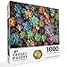Cross & Glory Cross Glory Succulent Symphony 1000 Piece Jigsaw Puzzle for Adults Premium Quality Colorful Artwork Succulent Plant Puzzle - Image 3