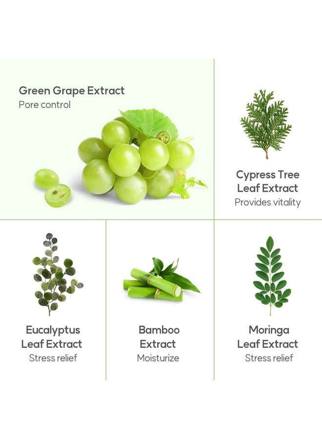 فروديا ويلكوس فروديا، مقشر للوجه بالعنب الأخضر للتحكم في مسام الوجه، غسول يومي للوجه، غسول للوجه | منظف لطيف للوجه ومقشر للوجه وغسول للوجه | مقشر الوجه المنظف الكوري (4.9 أونصة) - Image 4