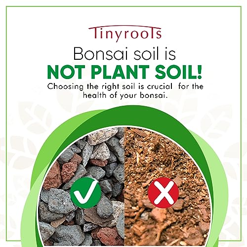 Bonsai Outlet Bonsai Soil Mix by Tinyroots - All Purpose Bonsai Soil Mix Ready to Use Blend, Used for All Varieties of Bonsai Trees, 2.25 Quarts - Image 2