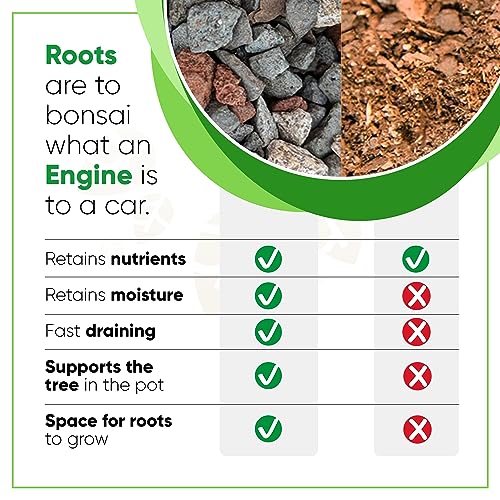 Bonsai Outlet Bonsai Soil Mix by Tinyroots - All Purpose Bonsai Soil Mix Ready to Use Blend, Used for All Varieties of Bonsai Trees, 2.25 Quarts - Image 3