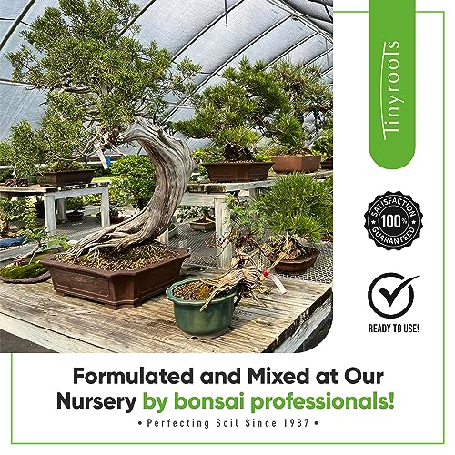 Bonsai Outlet Bonsai Soil Mix by Tinyroots - All Purpose Bonsai Soil Mix Ready to Use Blend, Used for All Varieties of Bonsai Trees, 2.25 Quarts - Image 5