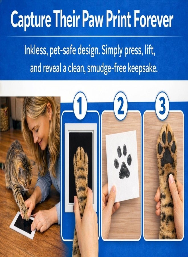 OtterPets Cat Urn for Ashes, 4 Customizable Displays with Paw Print Ink Kit, 6.5x6.5x4.0, Flannel Bag, Pet Urns for Cats Ashes, Pet Urn for Cat Ashes, Pet Ashes Keepsake - Image 4