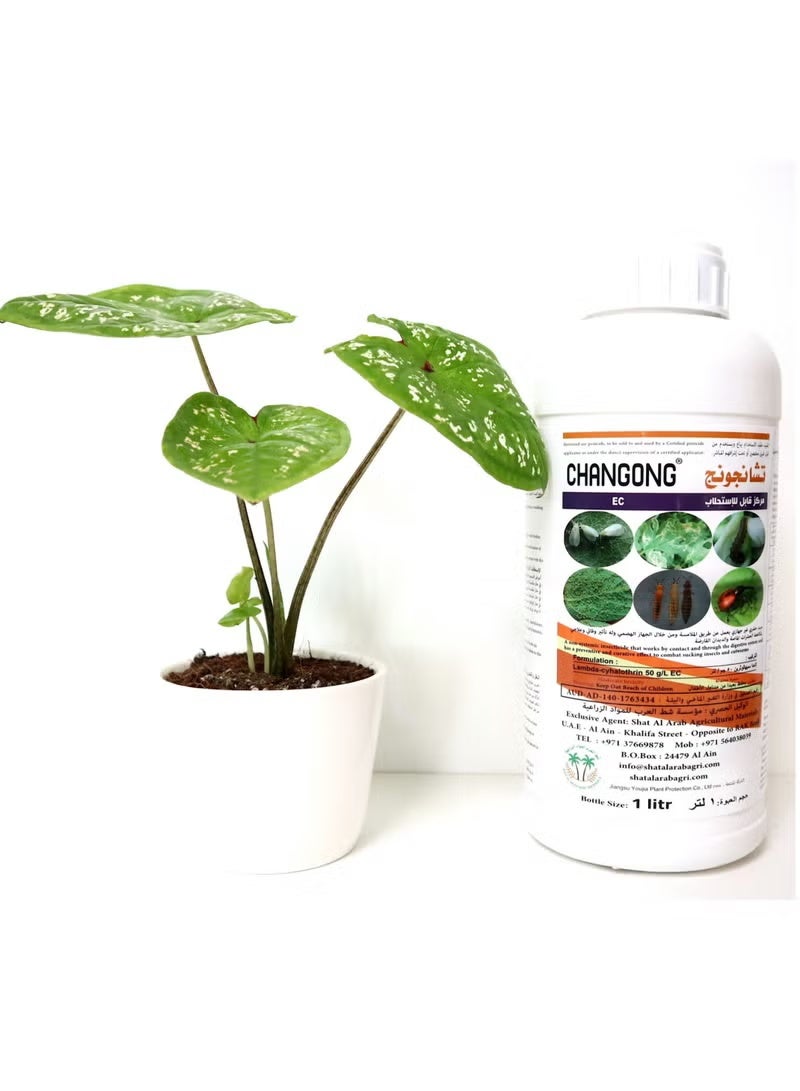 general Changong Pesticide Lambda-cyhalothrin 50 g/L EC 1Ltr For Sucking and Cutworms, Leafminer insects - Image 1