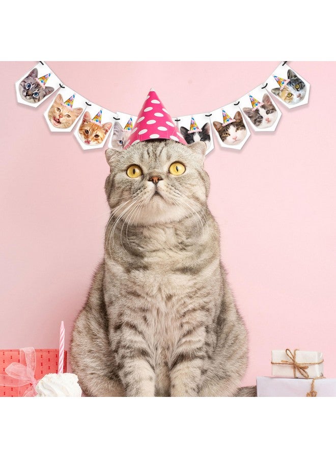 WOBBOX Cat Birthday Decoration "Cat Faces" Bunting Banner, Kitty Birthday Decoration Items - Image 5