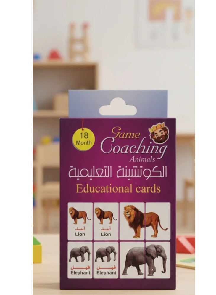 بطاقات كوتشينة تعليمية الحيوانات للأطفال 72 بطاقة لعبة تعليمية للأطفال من 18 شهر فأكثر بطاقات مونتيسوري لتنمية الذكاء والتطابق والمهارات البصرية حيوانات أليفة ومفترسة و آمنة للأطفال