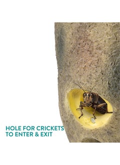 Navaris Navaris Reptile Cricket Feeding Rock - Realistic Polyresin Terrarium Stone Feeder for Reptiles with Hole for Crickets to Come Out - with Magnetic Lid and Window  - Image 3