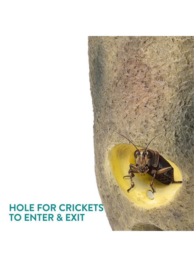 Navaris - Navaris Reptile Cricket Feeding Rock - Realistic Polyresin Terrarium Stone Feeder for Reptiles with Hole for Crickets to Come Out - with Magnetic Lid and Window - Image 1