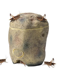 Navaris Navaris Reptile Cricket Feeding Rock - Realistic Polyresin Terrarium Stone Feeder for Reptiles with Hole for Crickets to Come Out - with Magnetic Lid and Window  - Image 1