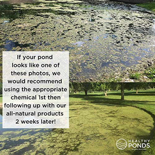Healthy Ponds Aquasphere Pro Biodegradable Pond Treatment 2-Pack, Each Sphere Treats up to 12,500 Gallons - Image 4