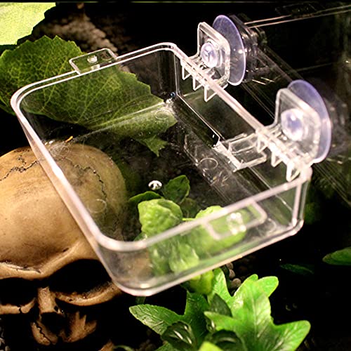 APlayfulBee Reptile Feeder Chameleon Bowl 2 Pcs Anti-Escape Food Dish Bowl with Suction Cup for Chameleon Iguana Lizard Reptile Food and Water Feeding (White, S) - Image 3