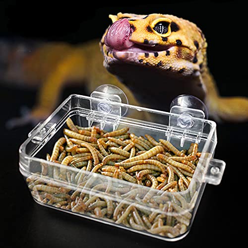 APlayfulBee Reptile Feeder Chameleon Bowl 2 Pcs Anti-Escape Food Dish Bowl with Suction Cup for Chameleon Iguana Lizard Reptile Food and Water Feeding (White, S) - Image 2
