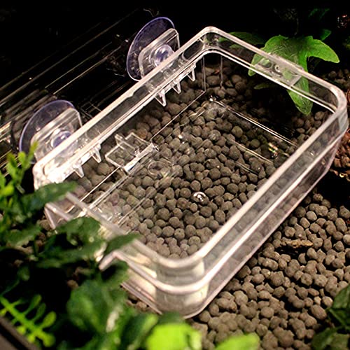 APlayfulBee Reptile Feeder Chameleon Bowl 2 Pcs Anti-Escape Food Dish Bowl with Suction Cup for Chameleon Iguana Lizard Reptile Food and Water Feeding (White, S) - Image 4