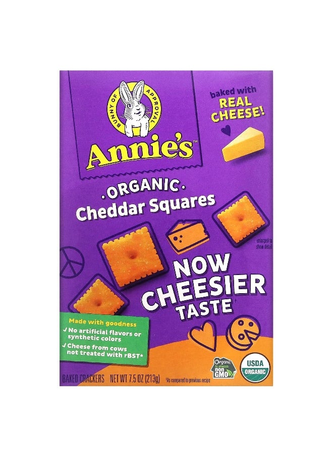 Annies Homegrown Annie's Homegrown, Organic Cheddar Squares, 7.5 oz (213 g)  - Image 1