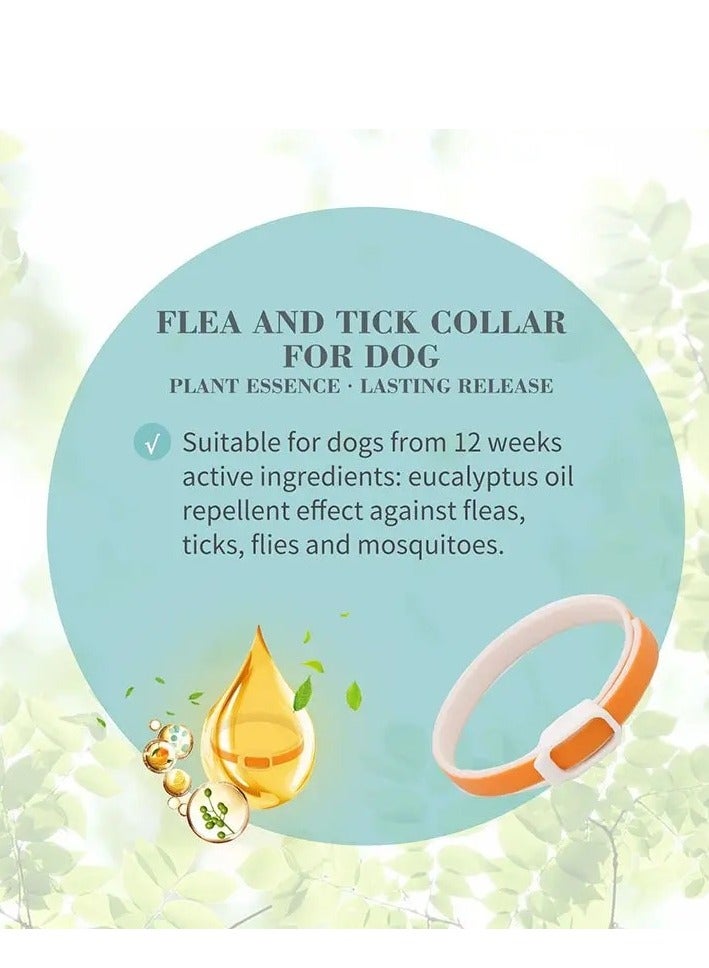 Bioline Flea and Tick Dog Collar 60cm[Flavor - Eucalyptus & Lemon] - Image 3