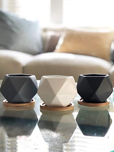 Chez JuJu Modern Geometric Ceramic Succulent Pots 3 Planters with Drainage Bamboo Tray 3 Pack - Image 3